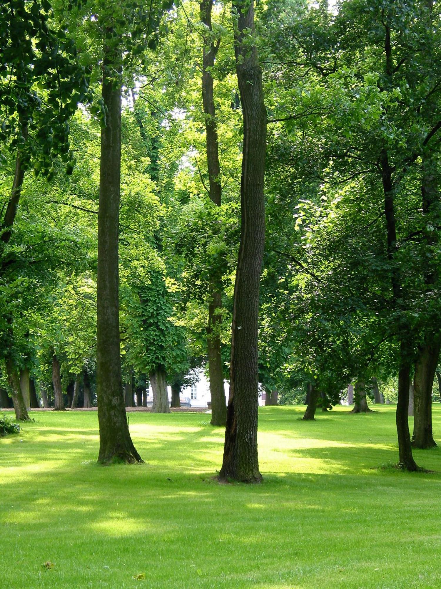 Park Hotel Tartuf Beladice Exteriör bild