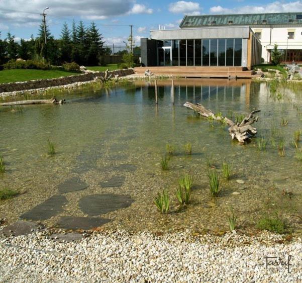 Park Hotel Tartuf Beladice Rum bild